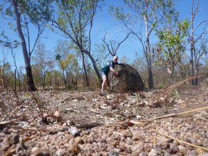 Sometimes you just need a hug!